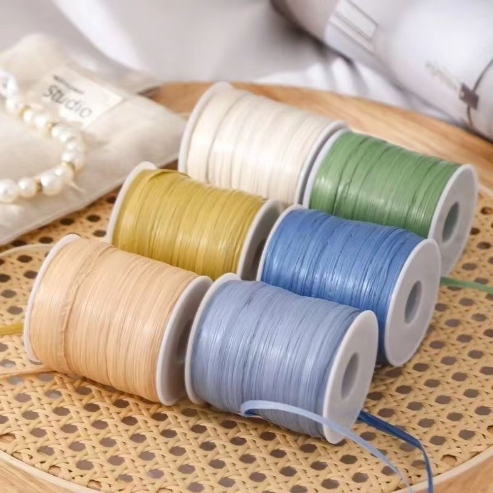 Premium Quality 120M Per Roll  - مراجعة Crochet Bag Raffia وسعره